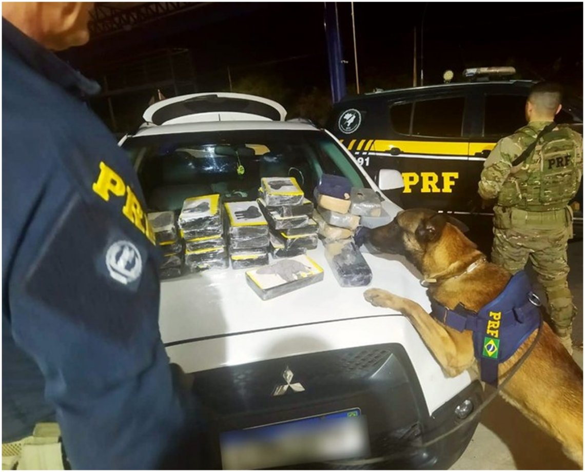 auxílio de cão farejador PRF apreende 30 4 kg de cocaína